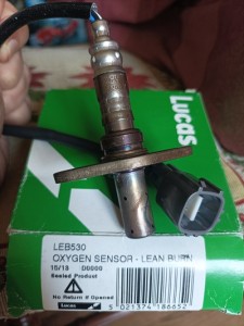 1726030144735.jpg