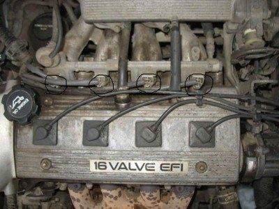 img4867ok2.jpg