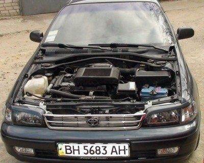 5555[1].jpg