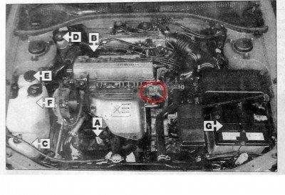 Датчик давл масла.jpg