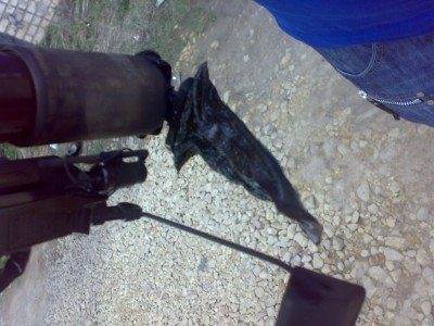 13052010400.jpg