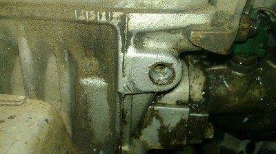20100526_002.jpg