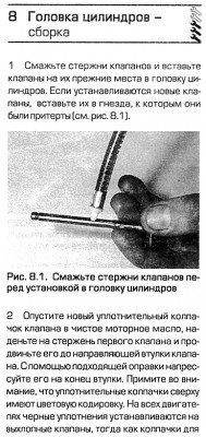 MSK_1.jpg