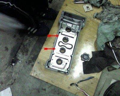 SP_A0295.jpg
