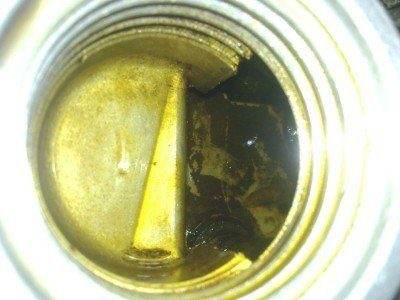 Изображение 362.jpg