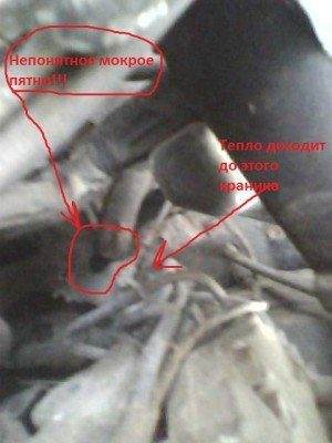 IMG0374A.jpg