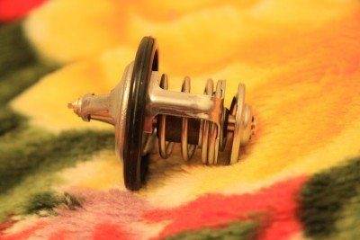 красавец в резинке.jpg