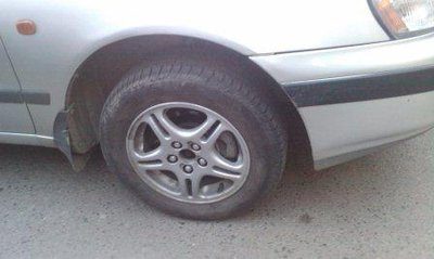 IMAG0126.jpg