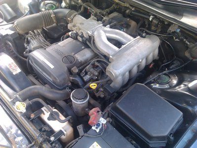 IMAG0270.jpg