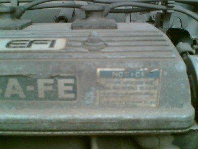 Image(083).jpg