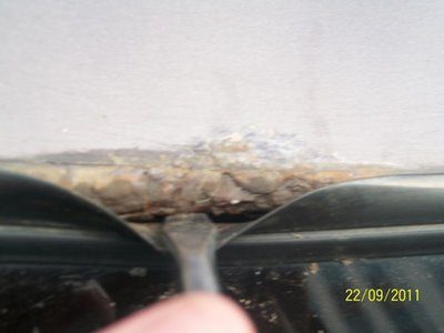 100_2201 - копия.JPG