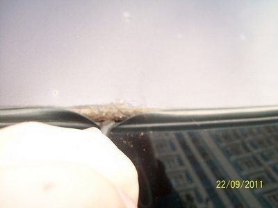 100_2202 - копия.JPG