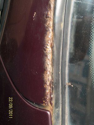 100_2200 - копия.JPG