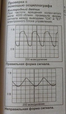 P1000702.JPG