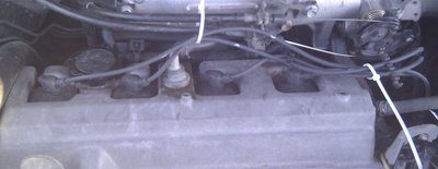 IMAG0028.jpg