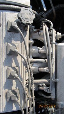 IMG_0128.jpg