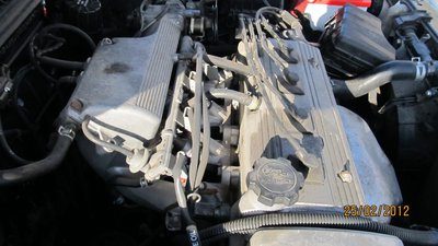 IMG_0129.jpg