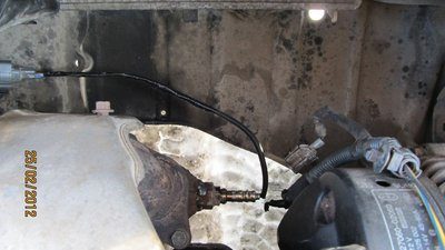 IMG_0132.jpg