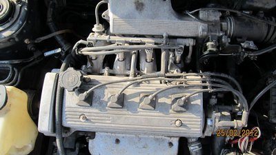 IMG_0134.jpg
