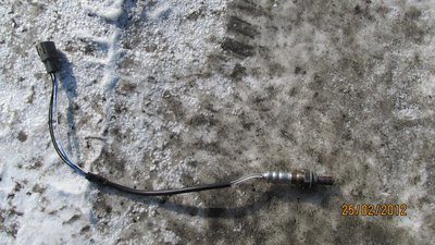 IMG_0143.jpg