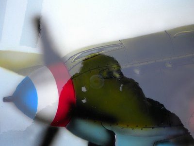 y_24e46c46.jpg