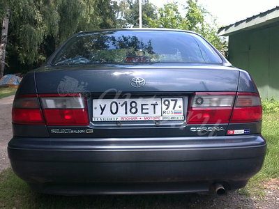 503fbe56[1].jpg