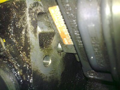 23032012304.jpg