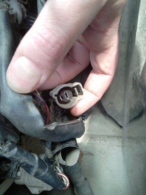 2012-04-15 14.06.27.jpg