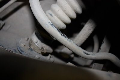 IMG_1772.JPG
