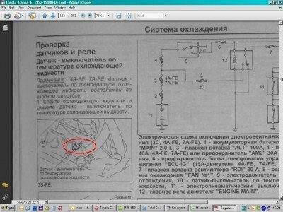 ДОЖ.jpg