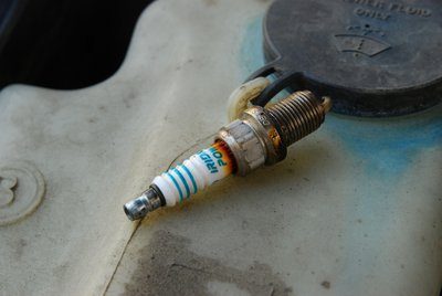 DSC_7233.JPG
