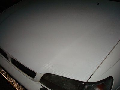DSC02263(1).jpg