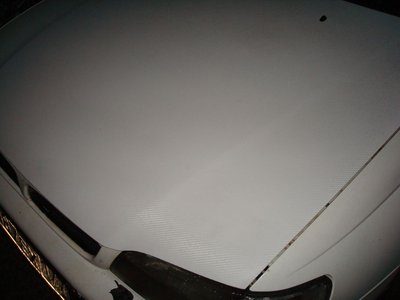DSC02265(1).jpg