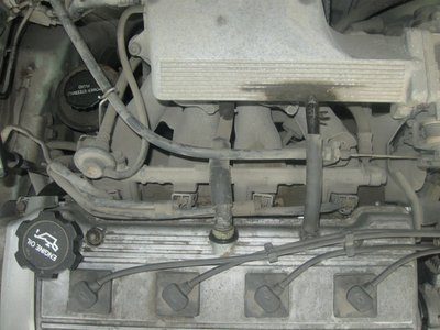 IMG_0790.JPG