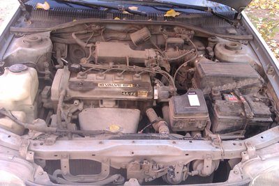 IMAG0110.jpg