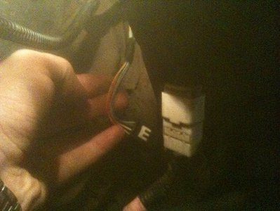 IMG_0341.JPG
