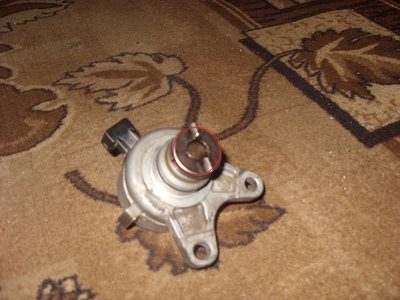 SN858511.JPG