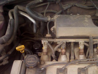 IMG0090.jpg