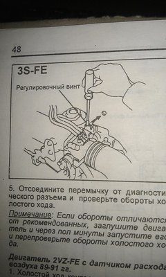 IMAG0016.jpg