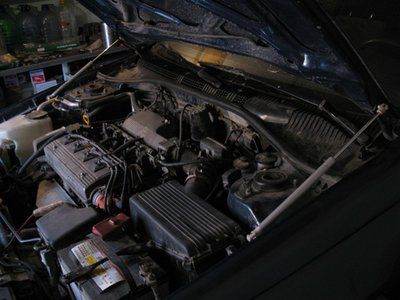 e95b1cu-480.jpg