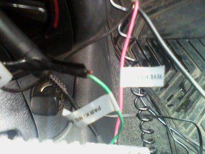 IMG_20130304_154206.jpg