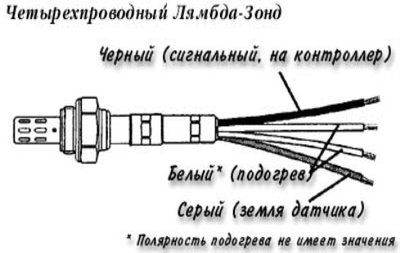 fce4b1b7437e.jpg