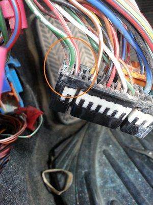 20130420_135330_новый размер.jpg