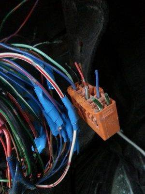 20130421_194559_новый размер.jpg