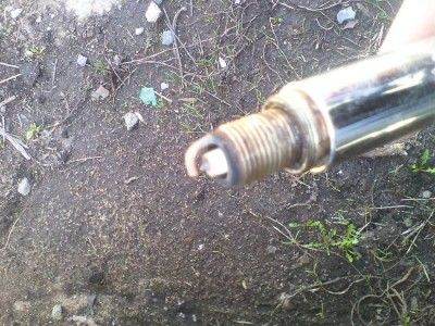 IMG_20130502_131821.jpg