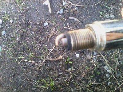 IMG_20130502_131947.jpg