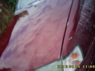 IMG0257.jpg