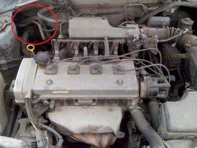 IMG_20130830_192753.jpg