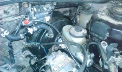 IMAG0278-1.jpg