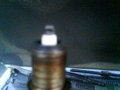 DSC00870.JPG